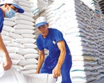 Xuất khẩu gạo có thể đạt 7 triệu tấn