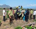 Ninh Thuận: Điều tra làm rõ nhóm đối tượng tấn công lực lượng bảo vệ rừng
