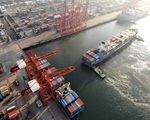WTO hạ dự báo tăng trưởng thương mại toàn cầu