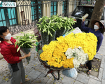 Hà Nội: Hoa loa kèn xuống phố, báo hiệu mùa hè sắp tới