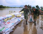 Hà Nội: Mưa lớn gây úng ngập hơn 4.040 ha lúa, rau màu