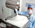 Ấn Độ cân nhắc hạn chế xuất khẩu đường