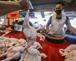 Malaysia nỗ lực kìm hãm đà tăng giá thịt gà
