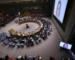 Hội đồng Bảo an thông qua tuyên bố đầu tiên về Ukraine