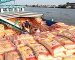 More than 1 billion USD of rice exports