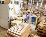 Xây dựng cơ chế giảm thiểu rủi ro cho gỗ xuất khẩu