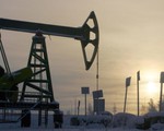Ấn Độ tăng cường mua dầu mỏ từ Nga
