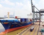 Chính phủ đề nghị TP Hồ Chí Minh xem xét điều chỉnh phí hạ tầng cảng biển trong tháng 7