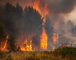 Châu Âu hứng chịu đợt nắng nóng, cháy rừng hoành hành từ Bồ Đào Nha đến Croatia