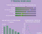 [INFOGRAPHIC] Bức tranh kinh tế Việt Nam 7 tháng năm 2022