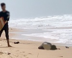Diễn biến mới vụ 7 thi thể trôi dạt vào bờ biển Phú Quốc