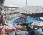 Tấp nập chợ cá sau chuyến biển xuyên Tết