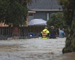 Mưa xối xả gây lũ lụt thảm khốc ở New Zealand, 3 người tử vong