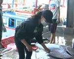 Giá trị xuất khẩu cá ngừ đạt hơn 1 tỷ USD