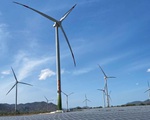 Giá mua điện gió, điện mặt trời cao nhất hơn 1.800 đồng/kWh