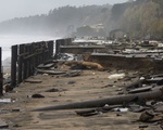 Bão khắc nghiệt tiếp tục hoành hành ở bang California, 560.000 ngôi nhà bị mất điện