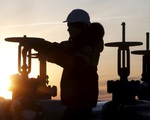 Đáp trả lệnh áp giá trần của phương Tây, Nga cắt giảm sản lượng dầu mỏ