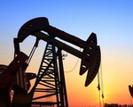 Nga xem xét áp mức trần chiết khấu dầu thô