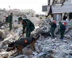 Công binh và chó nghiệp vụ của QĐND Việt Nam bắt đầu tìm kiếm cứu nạn tại Thổ Nhĩ Kỳ