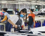 Hơn 20% doanh nghiệp tại TP Hồ Chí Minh có doanh thu tăng