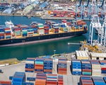 Giá cước vận tải hàng hóa đường biển giảm mạnh