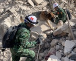 Lực lượng cứu hộ QĐND Việt Nam xác định thêm 2 vị trí nạn nhân tại Thổ Nhĩ Kỳ