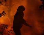 Thảm họa cháy rừng tại Chile, ít nhất 13 người thiệt mạng