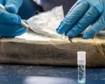 Sản xuất, buôn bán cocaine tăng lên mức kỷ lục trên toàn cầu