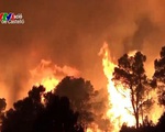 Cháy rừng nghiêm trọng ở Tây Ban Nha