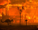 Australia ghi nhận hàng chục vụ cháy rừng trong ngày 1/10