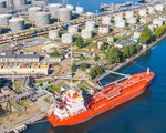 Xuất khẩu dầu thô bằng đường biển của Nga tăng lên mức cao nhất trong 4 tháng