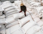 Xuất khẩu gạo thu về gần 4 tỷ USD sau 10 tháng