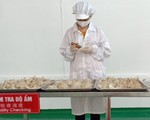 Xuất khẩu lô tổ yến đầu tiên sang Trung Quốc