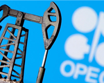 OPEC+ cân nhắc cắt giảm nguồn cung dầu