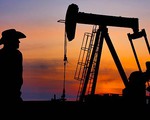 Giá dầu bước vào “thị trường gấu”