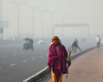 Thủ đô New Delhi của Ấn Độ đóng cửa trường học do ô nhiễm nặng