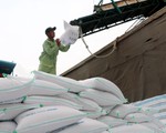 Xuất khẩu gạo dự báo lập đỉnh 4,5 tỷ USD