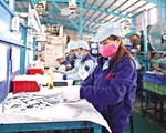 Fitch Ratings dự báo tăng trưởng kinh tế Việt Nam trung hạn khoảng 7%
