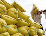 Giá gạo Việt xuất khẩu tăng cao nhất 3 tháng