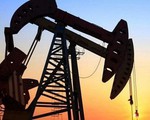 Vì sao OPEC+ cắt giảm sản lượng mà giá dầu vẫn giảm?