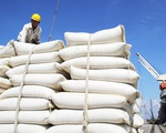 Indonesia muốn nhập 2 triệu tấn gạo: Bộ Công Thương khuyến cáo gì?