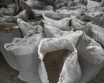 Slovakia cấm ngũ cốc Ukraine do dư lượng thuốc trừ sâu