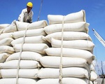 Việt Nam có thể xuất gần 7 triệu gạo tấn năm nay