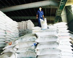 Xuất khẩu gạo tăng ngoạn mục 4 tháng đầu năm