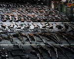 Hơn 13.500 vũ khí được giao nộp sau 2 vụ xả súng tại Serbia