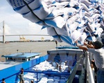 Chiến lược phát triển thị trường xuất khẩu gạo của Việt Nam đến năm 2030