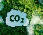 Xu hướng sản xuất trung hòa carbon