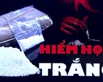 Nguồn cung cocaine bùng nổ trên toàn thế giới, Mỹ lo ngại nguy cơ từ ma túy mới Xylazine