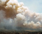 Cảnh báo sức khỏe đối với khu vực New York, Ottawa do khói cháy rừng từ Canada