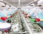Đề xuất Trung Quốc sớm ký nghị định thư xuất khẩu thủy sản